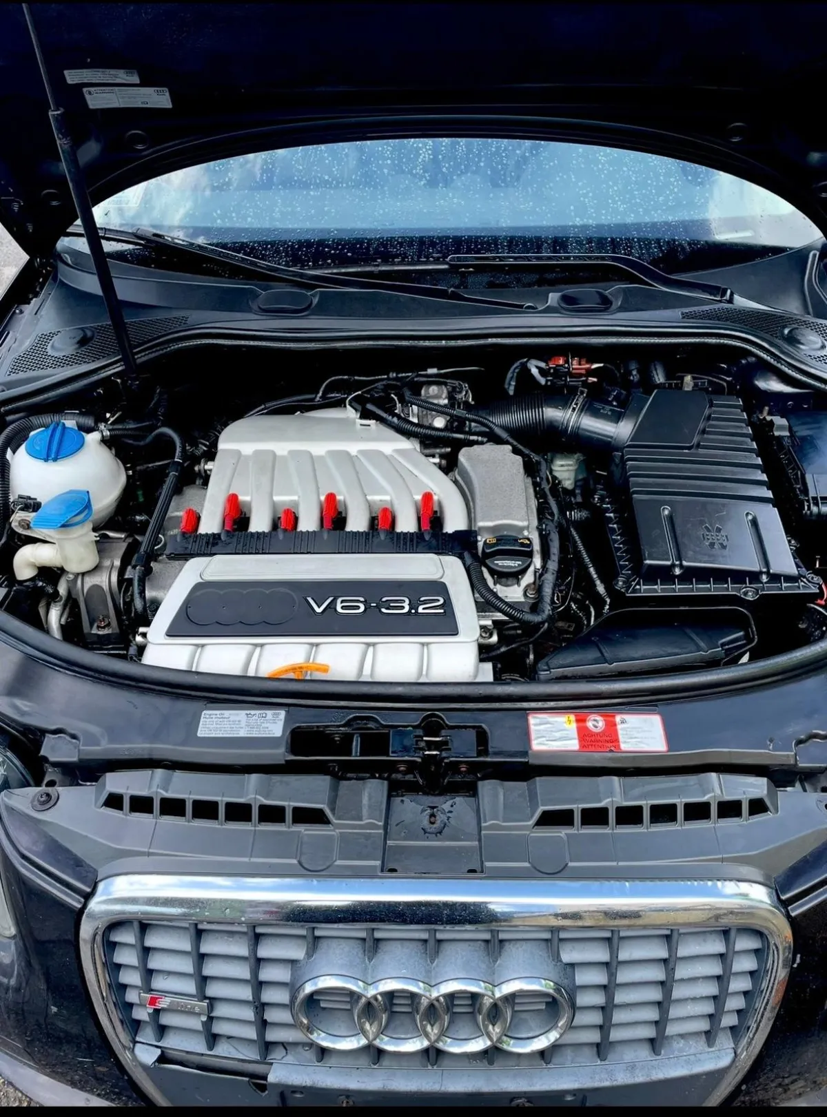 Full Detail & Motor